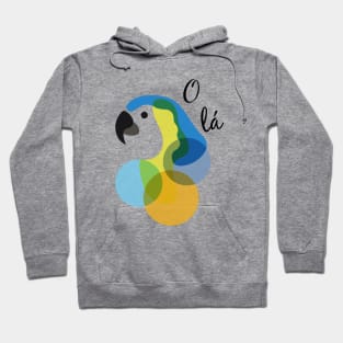 Olá - Hello in Brazil Hoodie